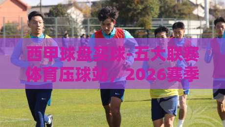 西甲球盘买球-五大联赛体育压球站，2026赛季新玩法与实用技巧全解析