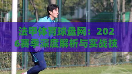 法甲体育球盘网:2026赛季深度解析与实战技巧【法甲体育球盘网】