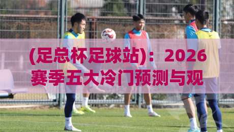 (足总杯足球站):2026赛季五大冷门预测与观赛秘籍