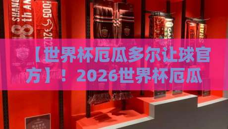 【世界杯厄瓜多尔让球官方】!2026世界杯厄瓜多尔让球数据深度解析