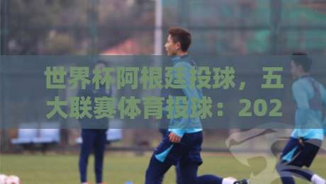 世界杯阿根廷投球,五大联赛体育投球:2026年实战策略与避坑指南