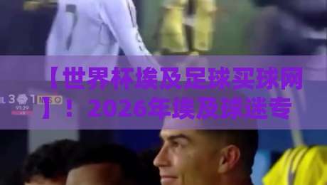 【世界杯埃及足球买球网】!2026年埃及球迷专属观赛与竞猜指南