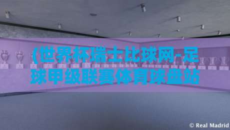 (世界杯瑞士比球网-足球甲级联赛体育球盘站)：2026赛季球迷必备的六大观赛与投注技巧