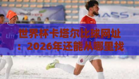 世界杯卡塔尔比球网址:2026年还能从哪里找到高清回放?