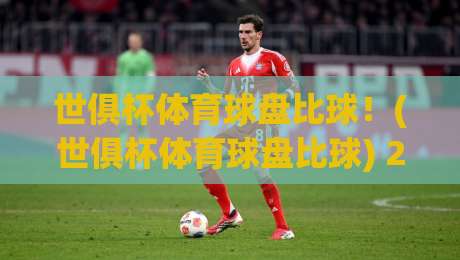 世俱杯体育球盘比球!(世俱杯体育球盘比球) 2026年赛事前瞻与深度解析 世俱杯体育球盘比球!(世俱杯体育球盘比球) 2026年赛事前瞻与深度解析