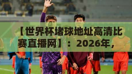 【世界杯堵球地址高清比赛直播网】：2026年，别再为找不到高清直播发愁了！