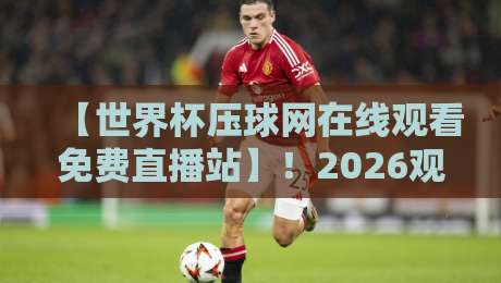 【世界杯压球网在线观看免费直播站】！2026观赛新体验，这些细节你注意到了吗？