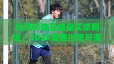 世界杯埃及球盘买球网址:2026观赛指南与谨慎选择要点