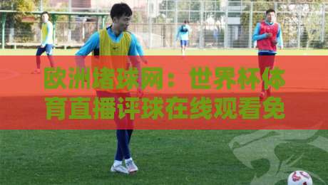 欧洲堵球网:世界杯体育直播评球在线观看免费直播站,2026年观赛首选!